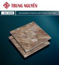 Gạch bán sứ bóng 60x60 TN MZ6556