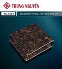 Gạch bán sứ bóng 60x60 TN MZ6550