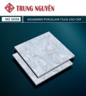 Gạch bán sứ bóng 80x80 TN MZ8559