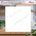 Gạch đá bán sứ bóng 60x60 60086