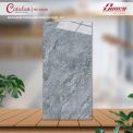 Gạch đá bóng 60x120 CTL 12016