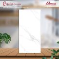 Gạch đá bóng 60x120 CTL 12026