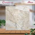 Gạch đá bán sứ bóng 100x100 10012