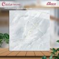 Gạch men bóng 60x60 62062