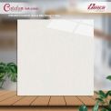 Gạch men bóng 60x60 62060