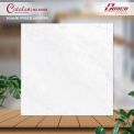 Gạch đá bán sứ bóng 60x60 65003