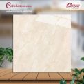 Gạch đá bán sứ bóng 60x60 65016