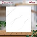 Gạch đá bán sứ bóng 60x60 65001