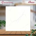Gạch đá bán sứ bóng 80x80 80059