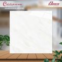 Gạch đá bán sứ bóng 80x80 80064