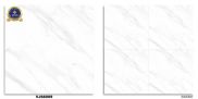 Gạch đá bán sứ bóng 60x60 VJ66009