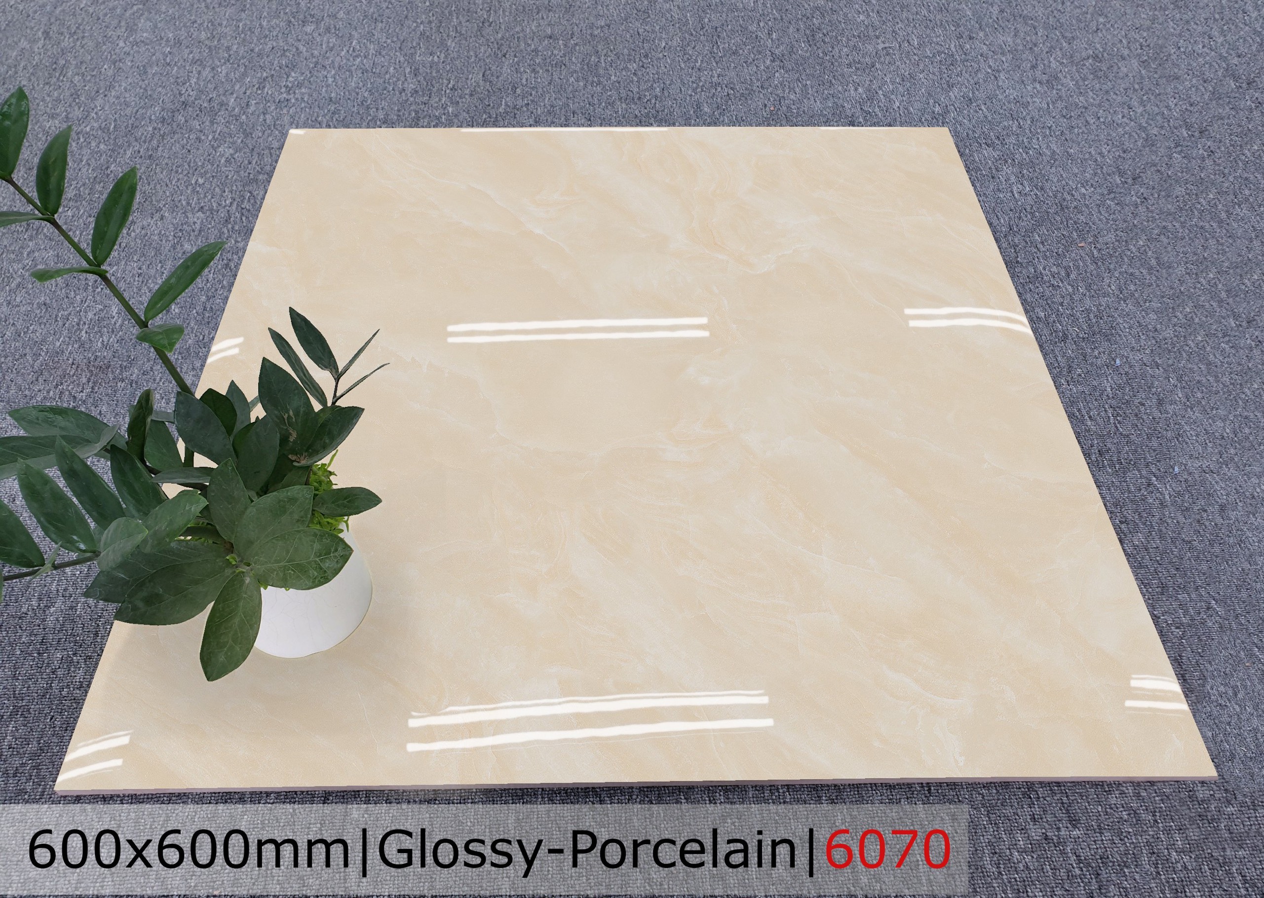 Gạch đá bóng 60x60 CTL 6070