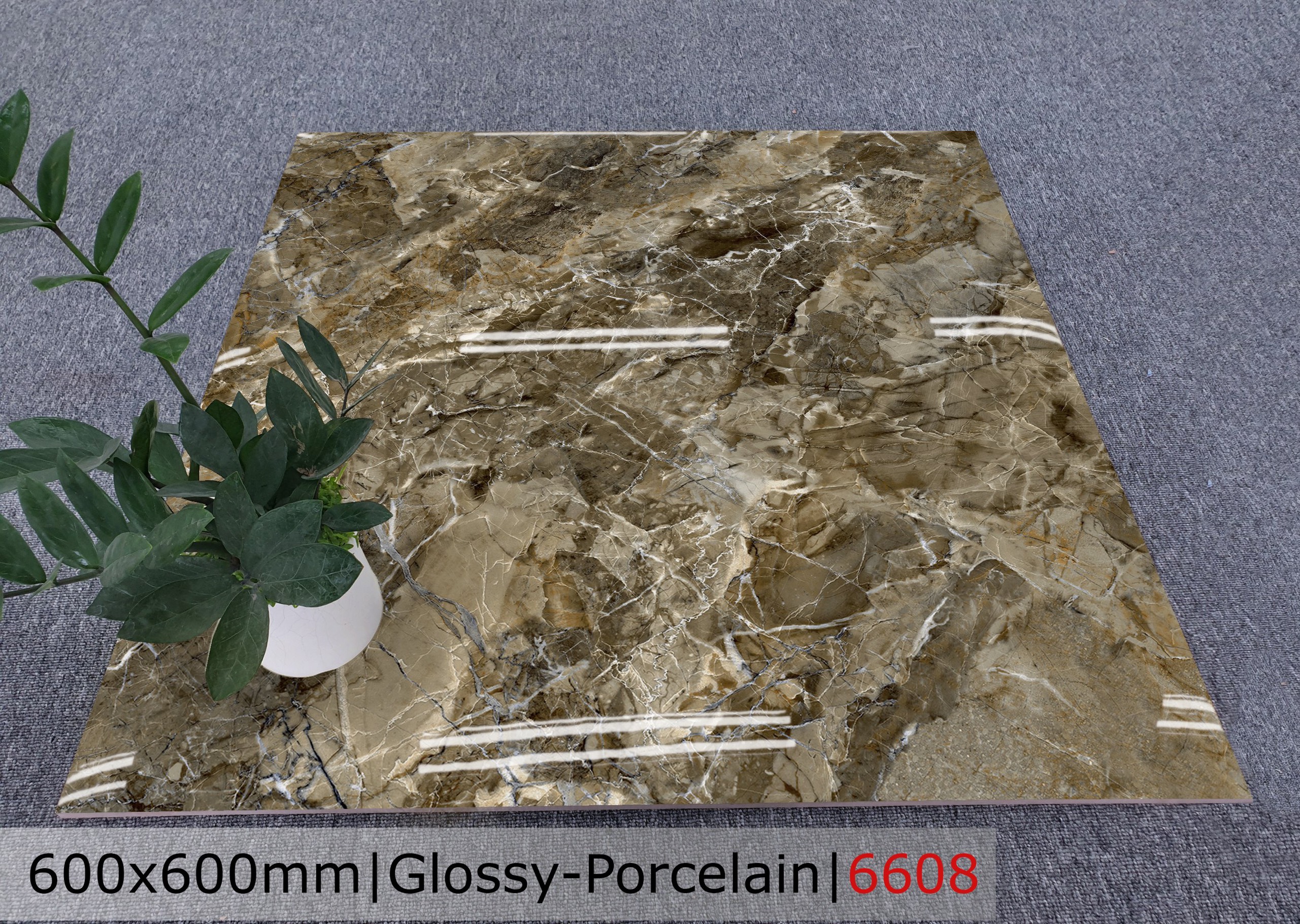 Gạch đá bóng 60x60 CTL 6608