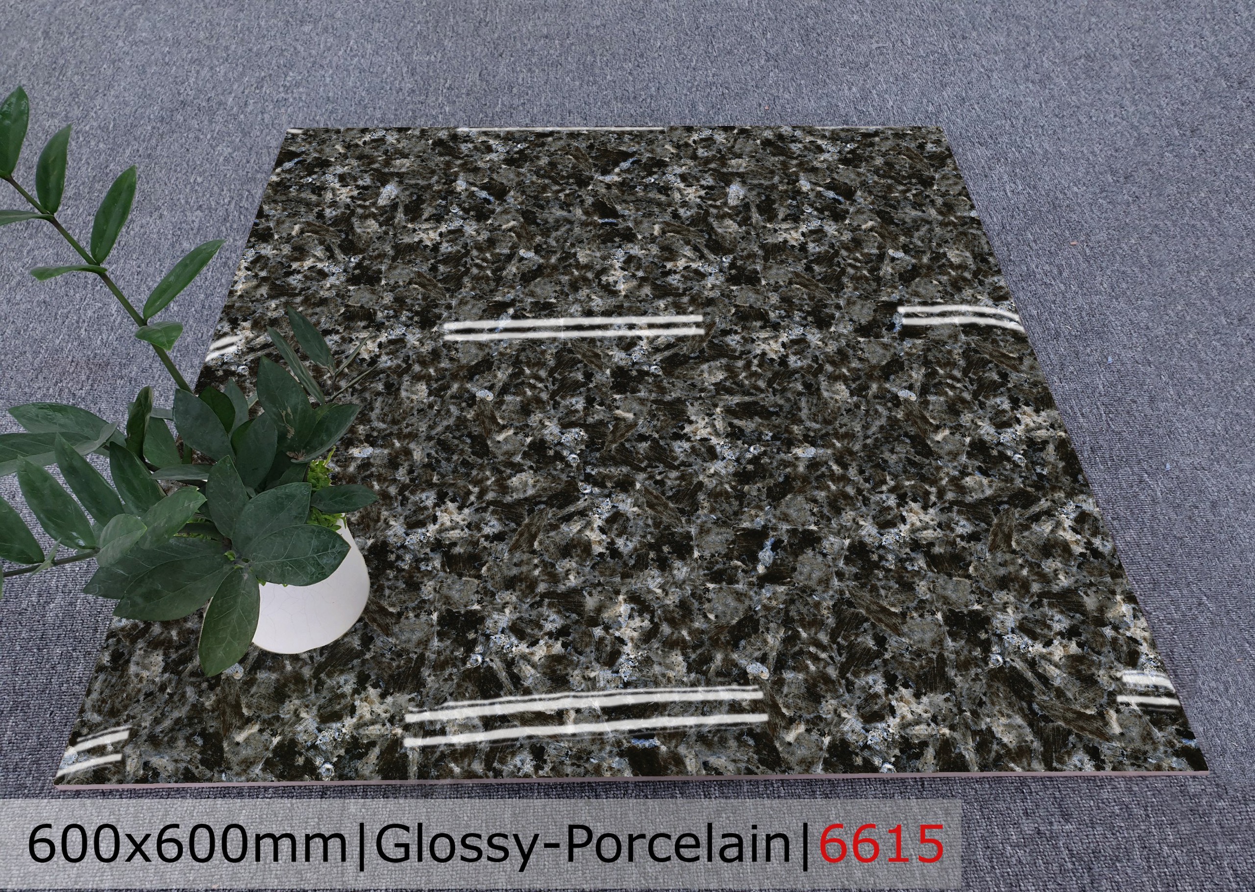 Gạch đá bóng 60x60 CTL 6615