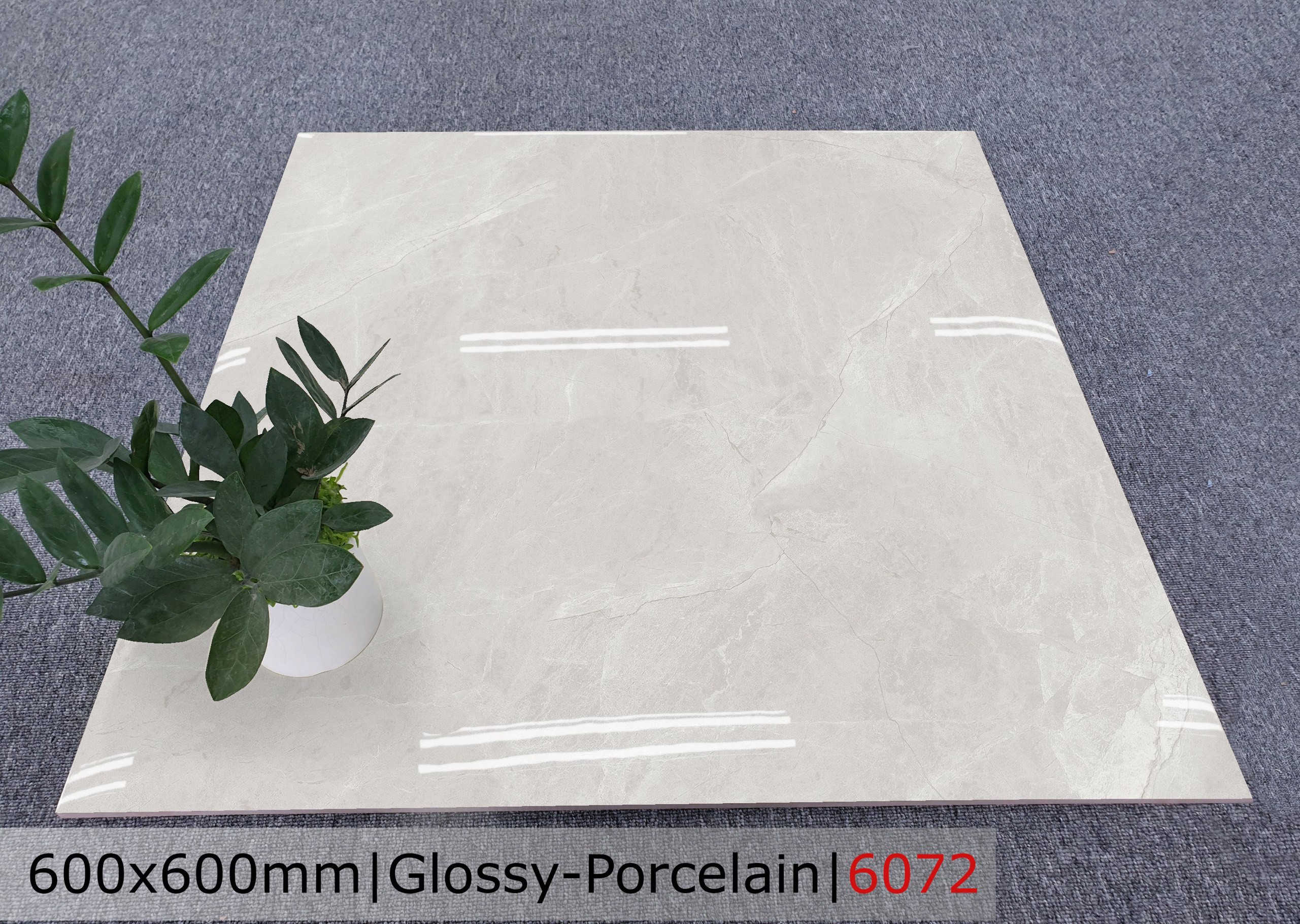 Gạch đá bóng 60x60 CTL 6072