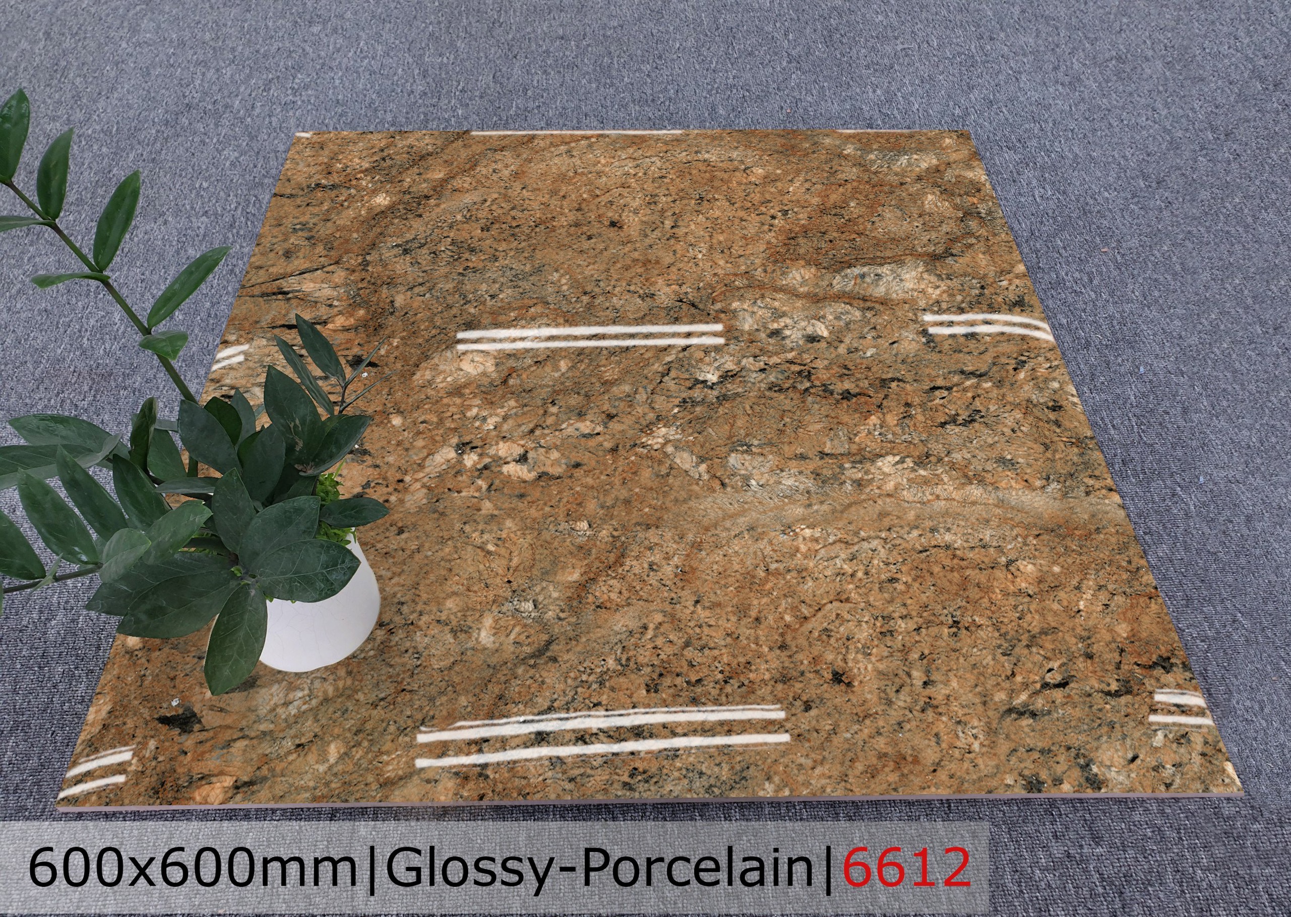 Gạch đá bóng 60x60 CTL 6612