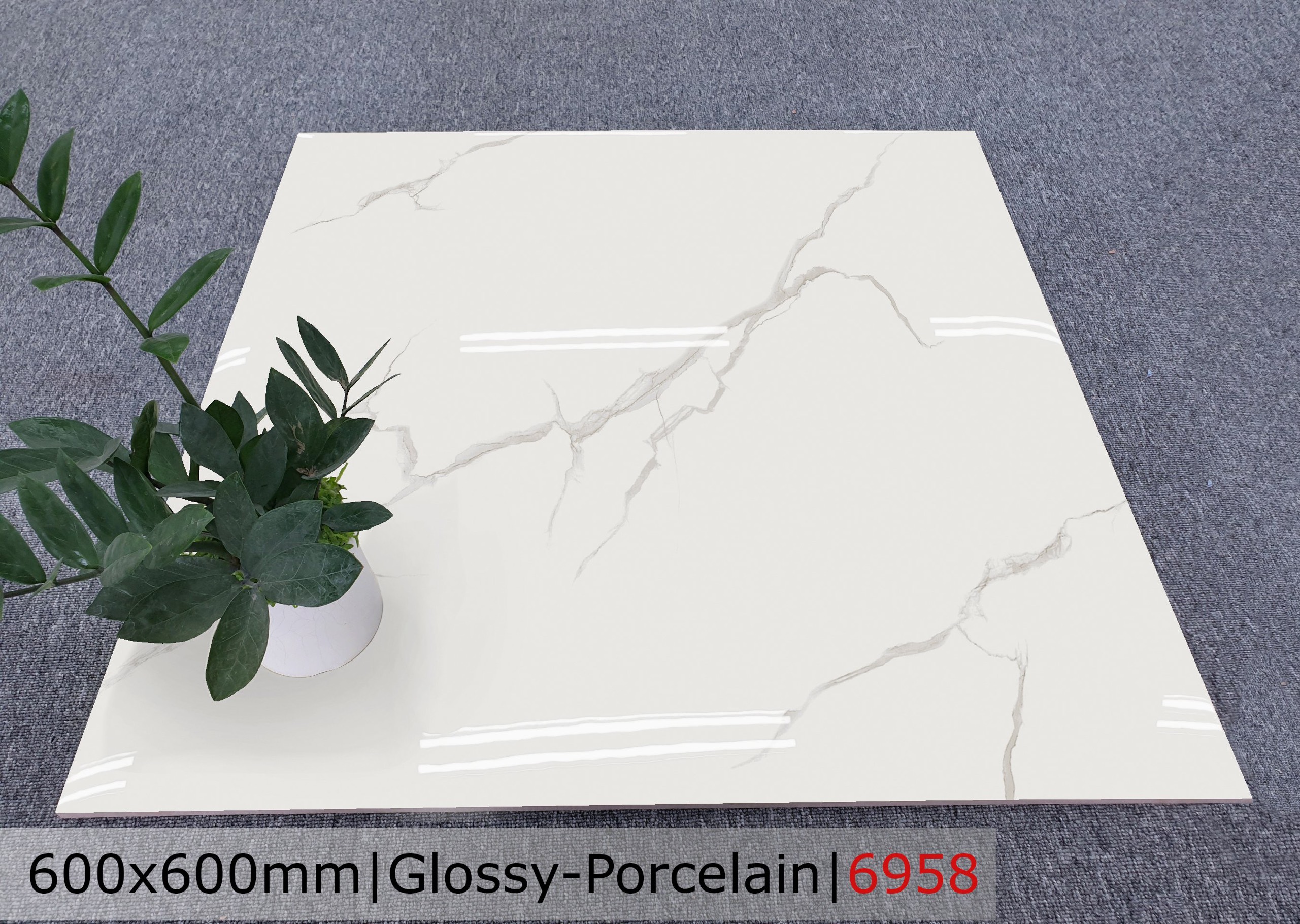 Gạch đá bóng 60x60 CTL 6958