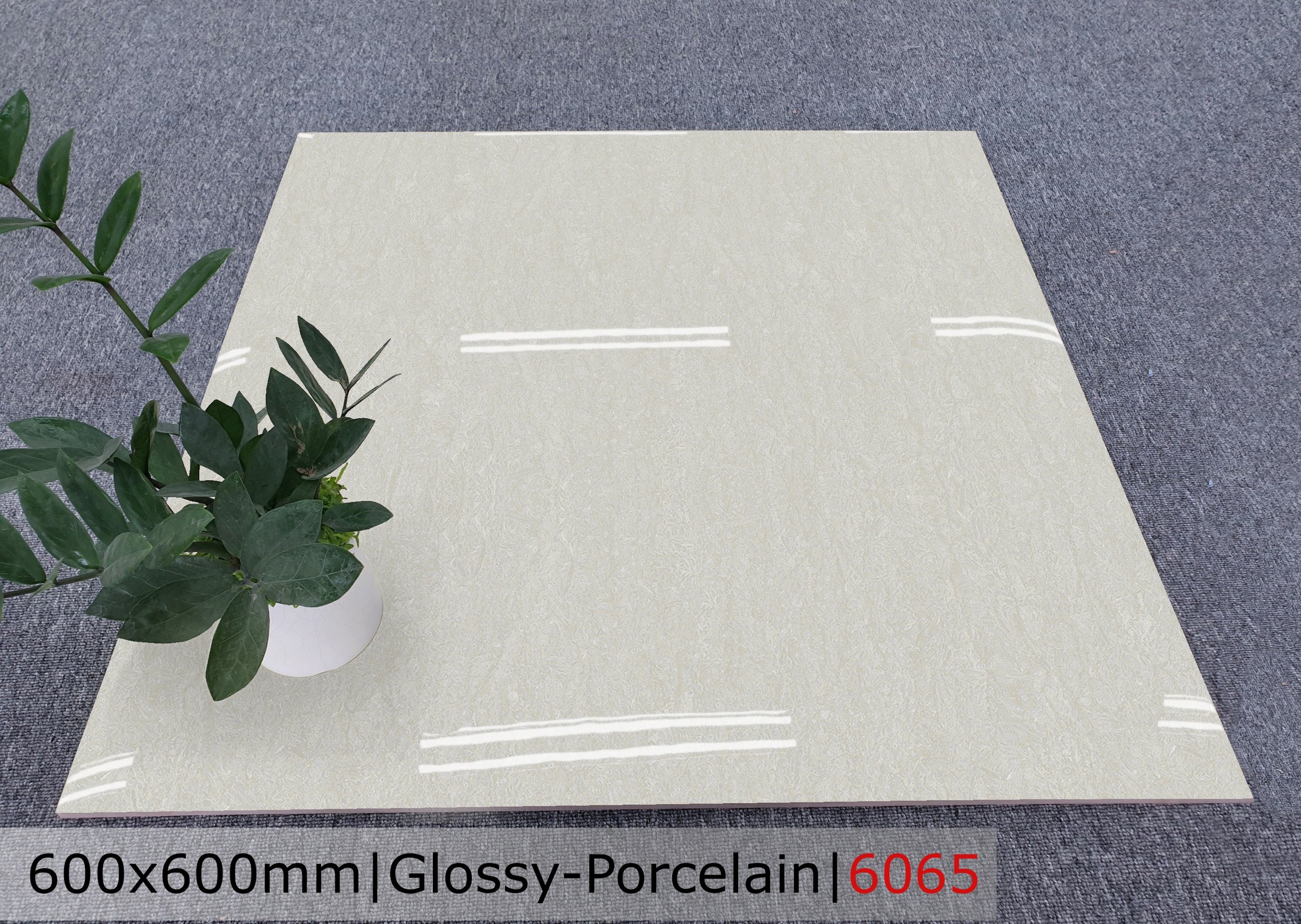 Gạch đá bóng 60x60 CTL 6065