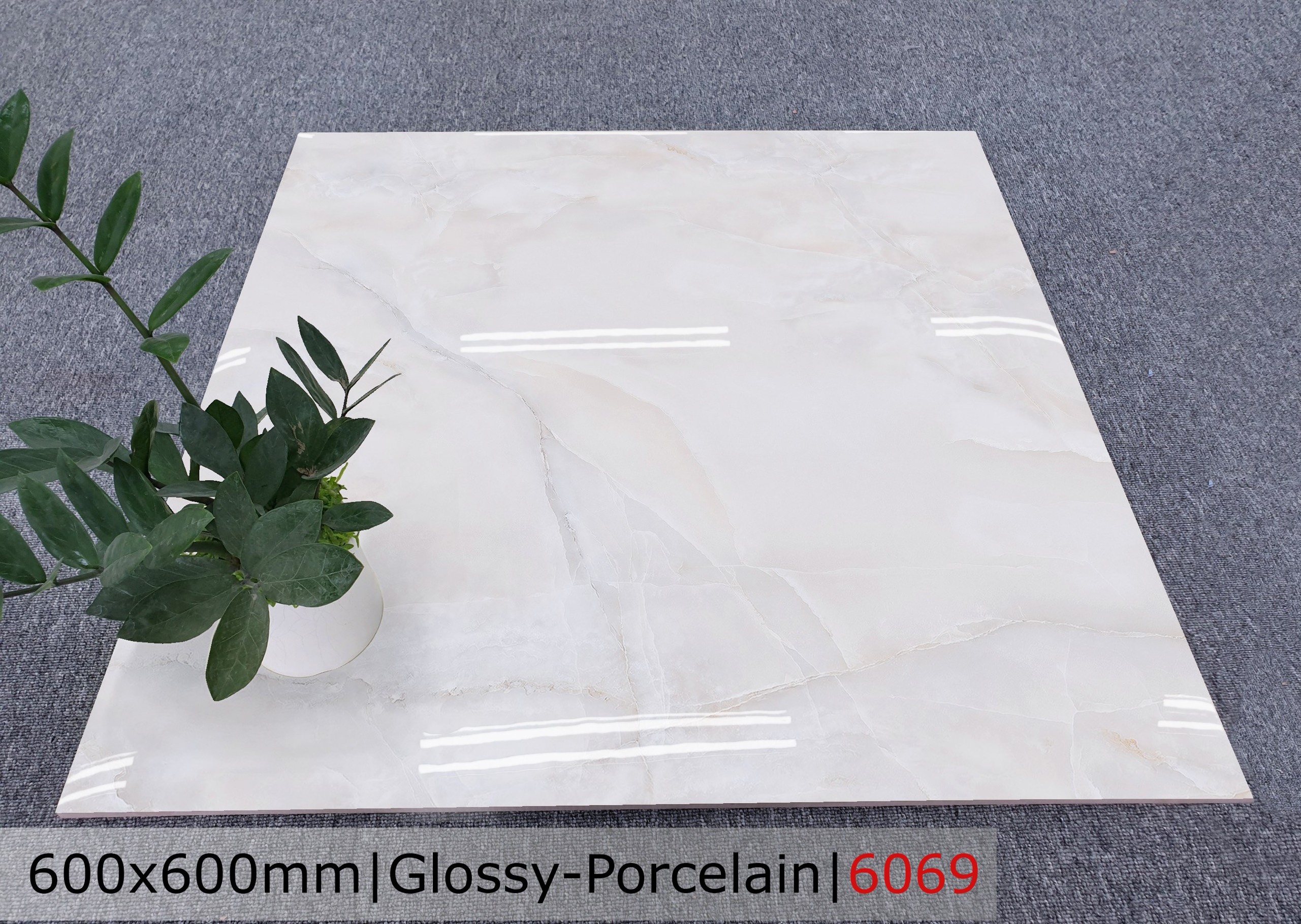 Gạch đá bóng 60x60 CTL 6069