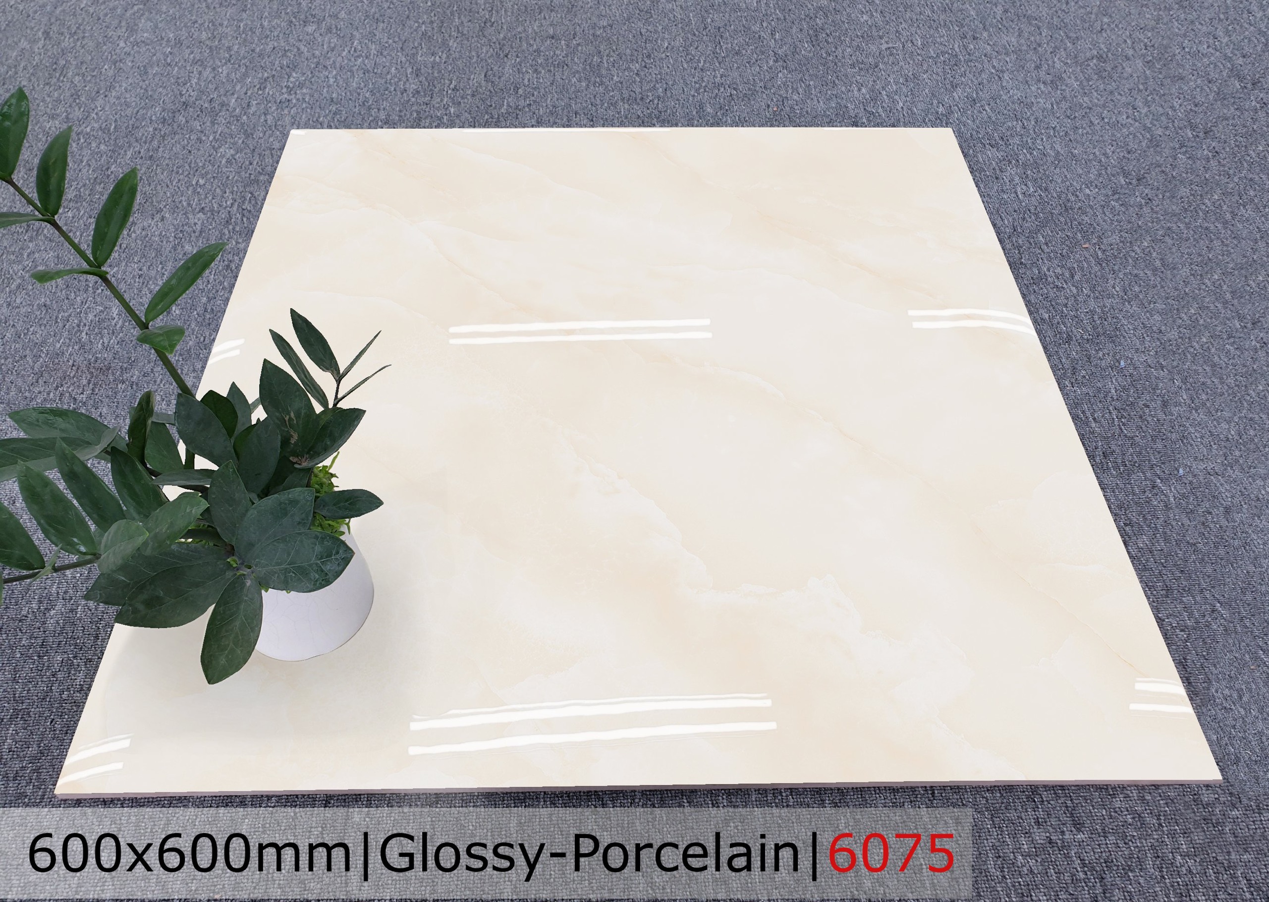 Gạch đá bóng 60x60 CTL 6075