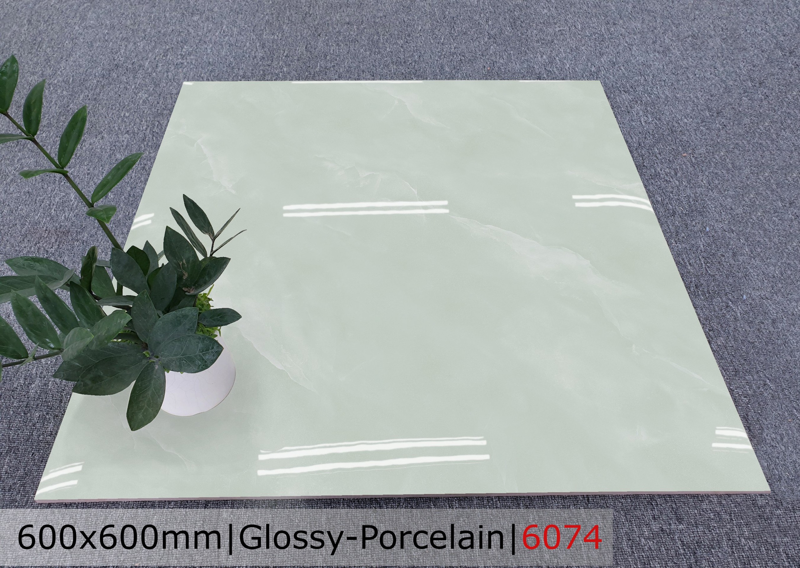 Gạch đá bóng 60x60 CTL 6074