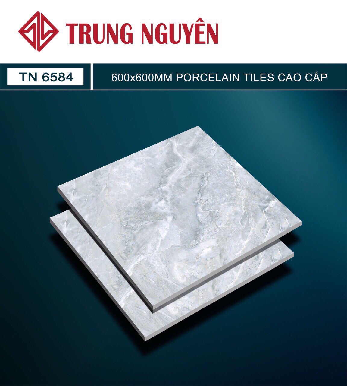 Gạch bán sứ bóng 60x60 TN MZ6584