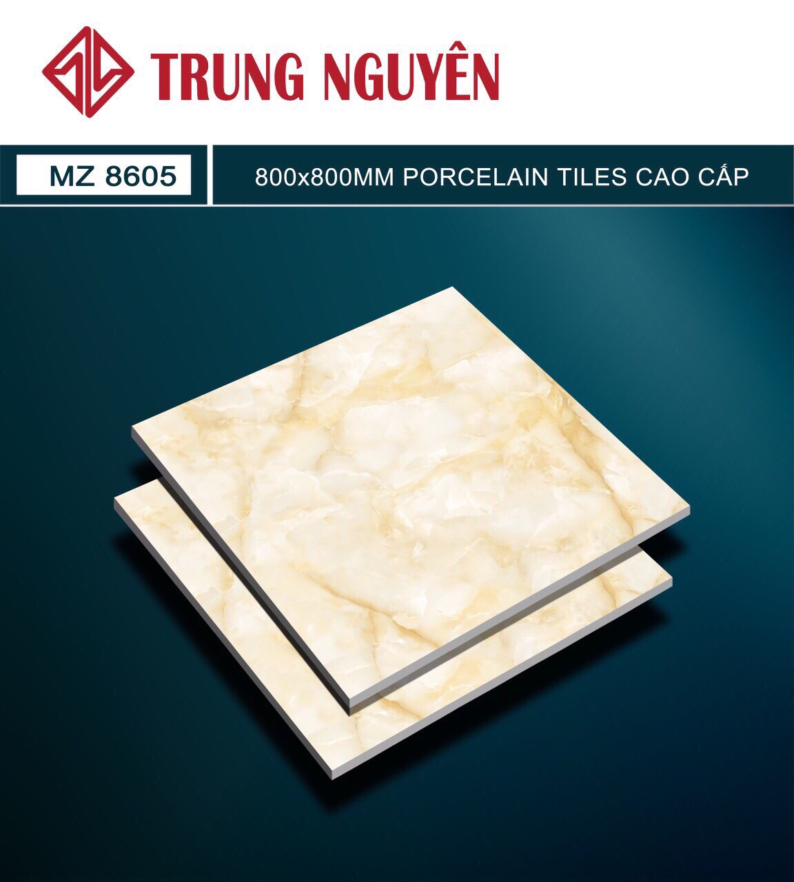 Gạch bán sứ bóng 80x80 TN MZ8605