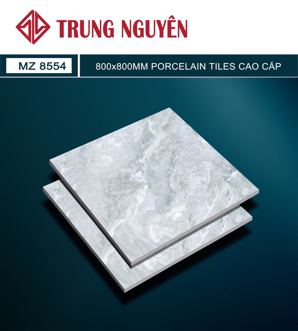 Gạch bán sứ bóng 80x80 TN MZ8554