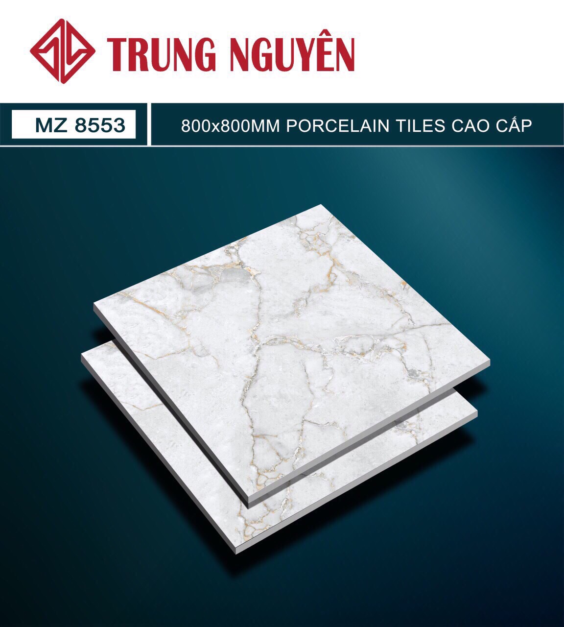 Gạch bán sứ bóng 80x80 TN MZ8553