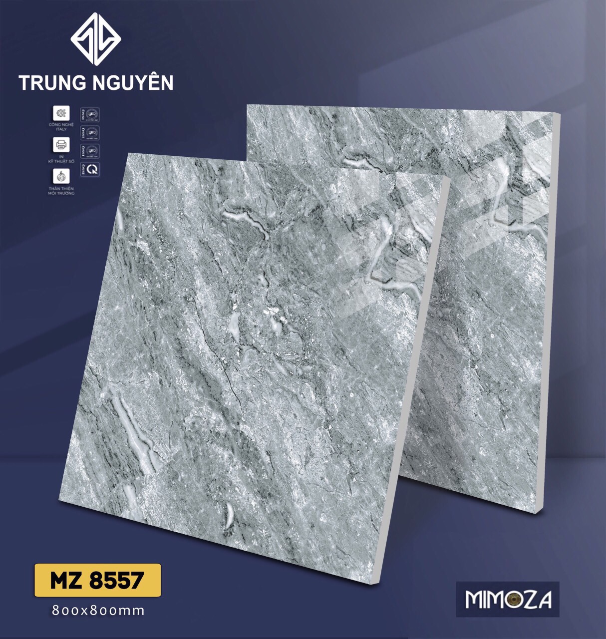 Gạch bán sứ bóng 80x80 TN MZ8557