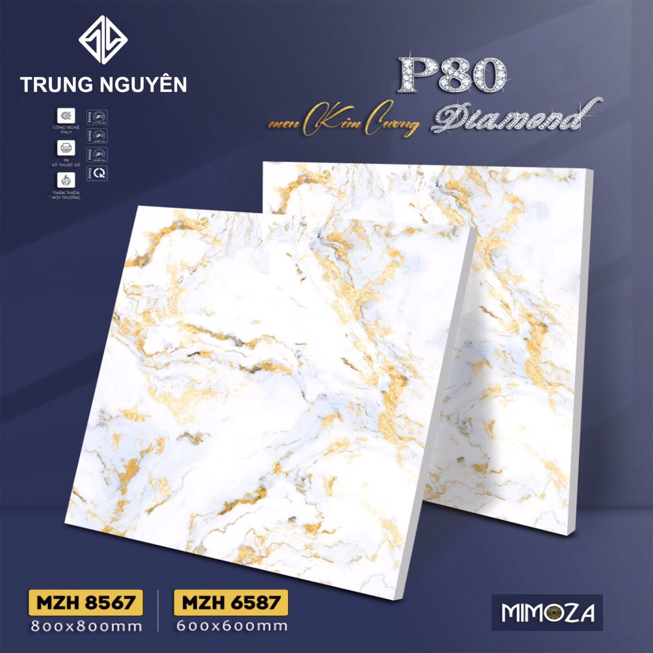 Gạch bán sứ bóng 60x60 TN MZH6587